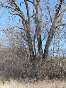 2013-01-01 00.00.00-60