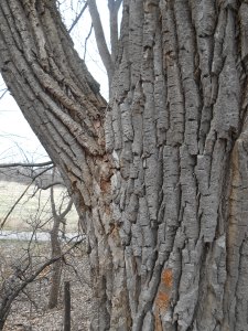 2013-01-01 00.00.00-137