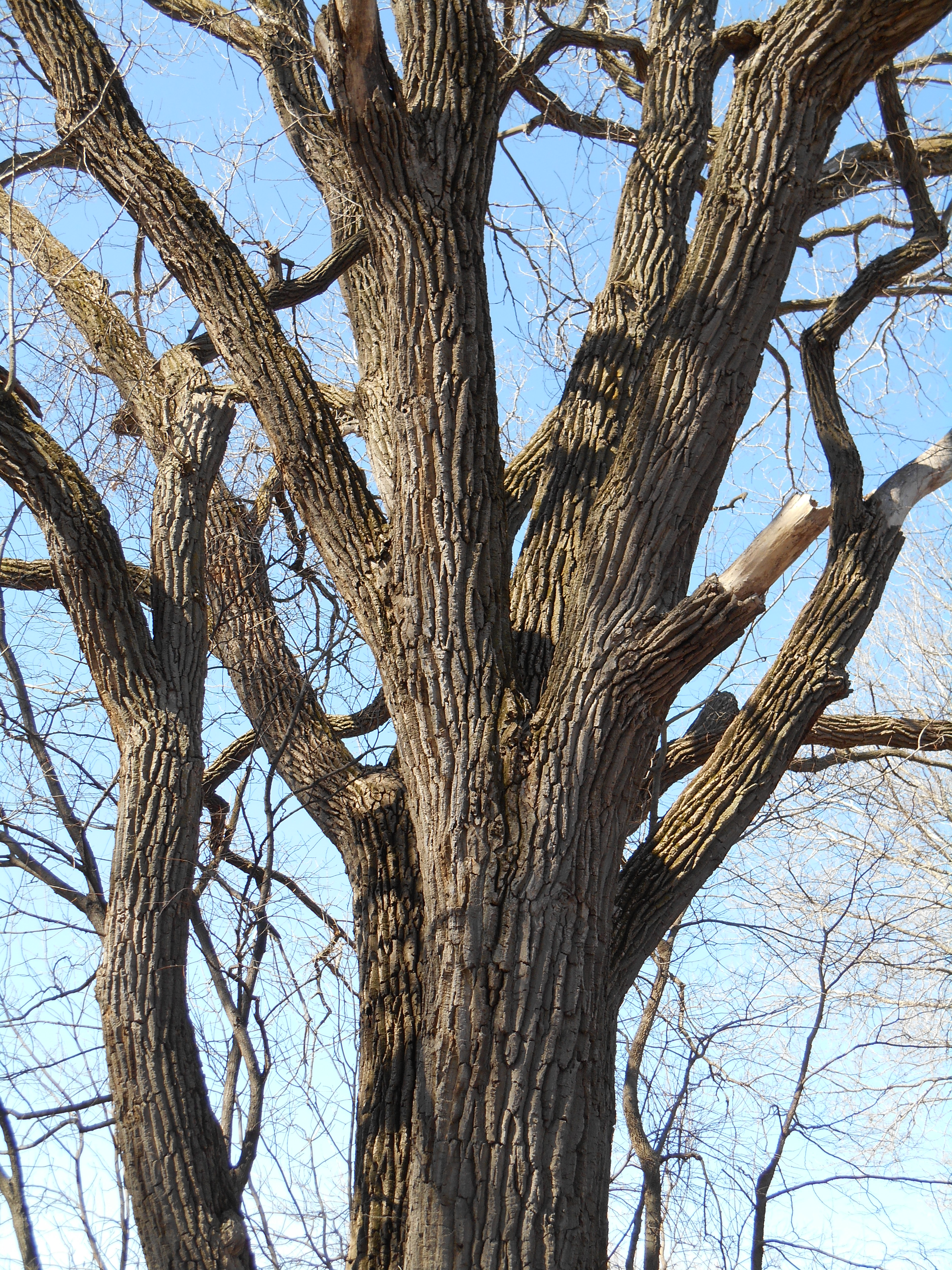 2013-01-01 00.00.00-38