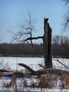 2013-01-01 00.00.00-493