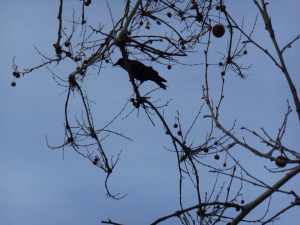 2013-01-01 00.00.00-557