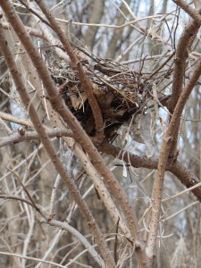 2013-01-01 00.00.00-574