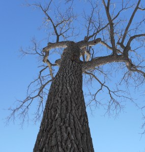 2013-01-01 00.00.00-517