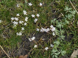 2013-01-01 00.00.00-169