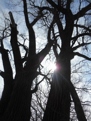 2013-01-01 00.00.00-83