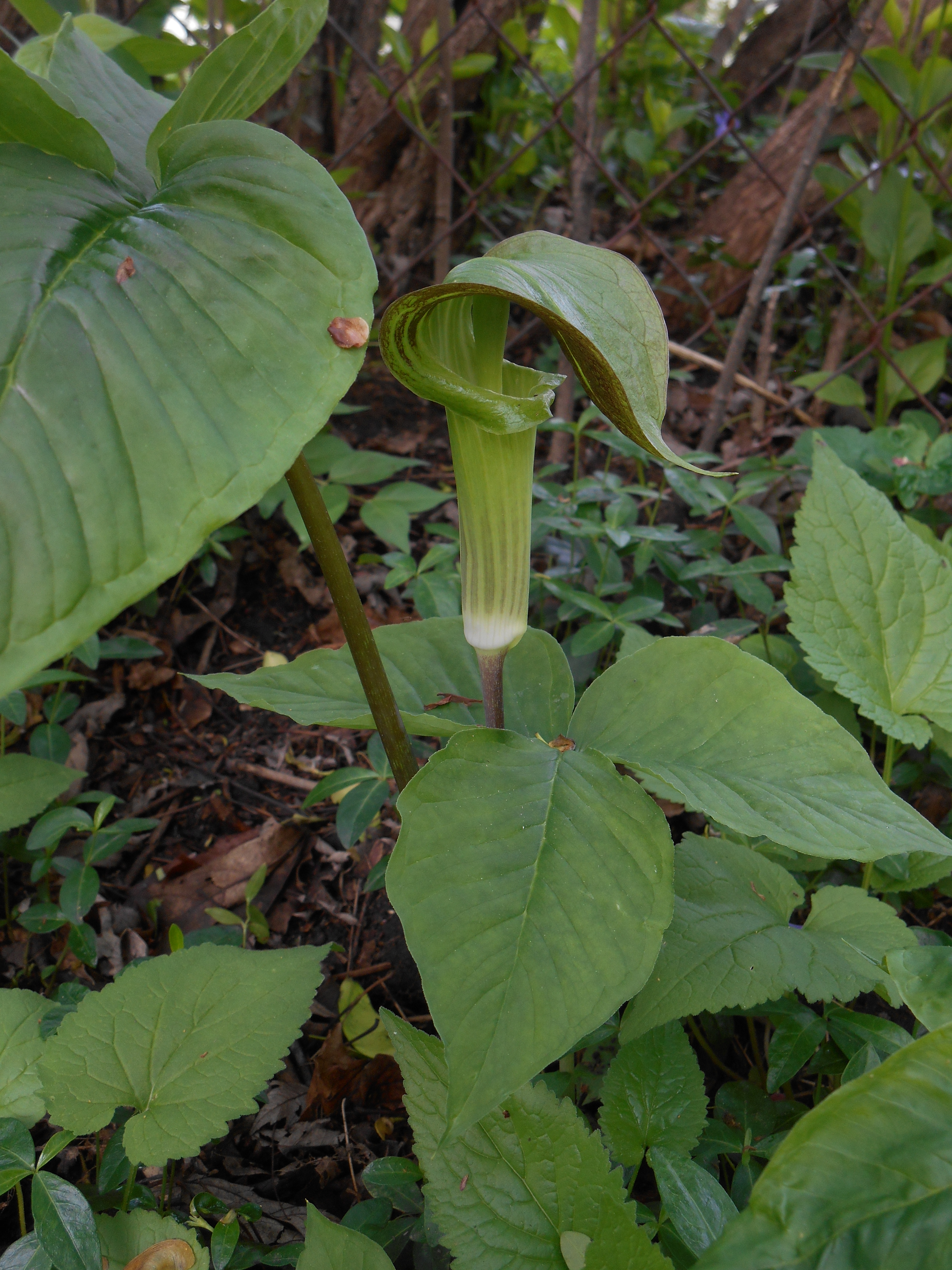 2013-01-01 00.00.00-17