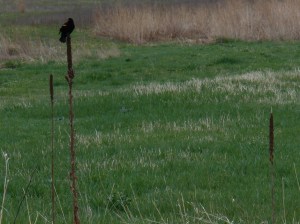 2013-01-01 00.00.00-297