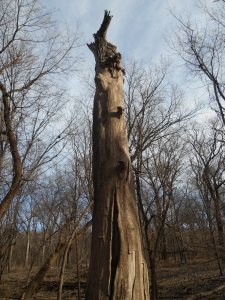 2013-01-01 00.00.00-461