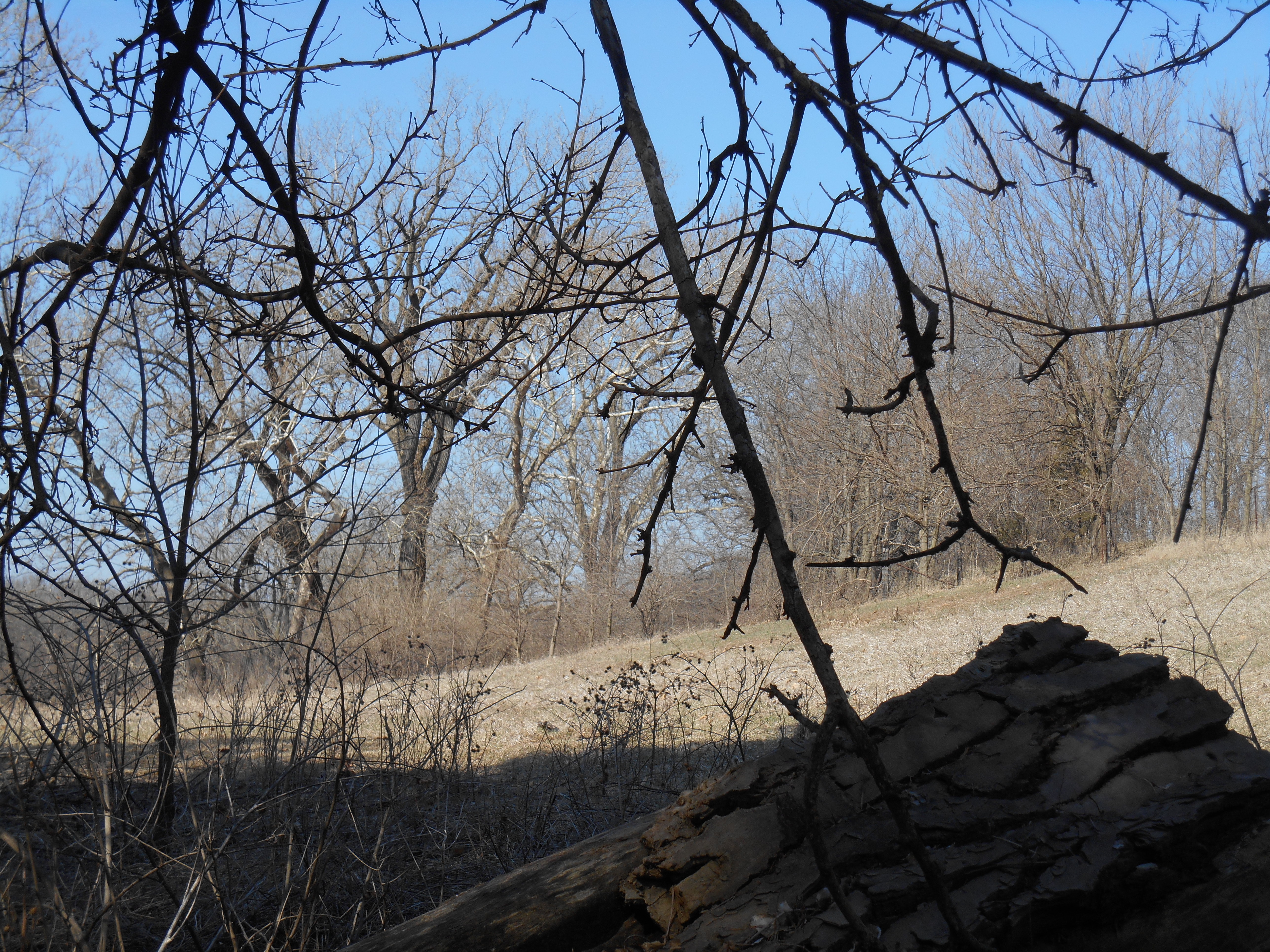 2013-01-01 00.00.00-82