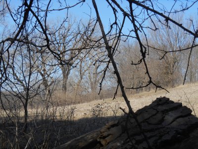 2013-01-01 00.00.00-82