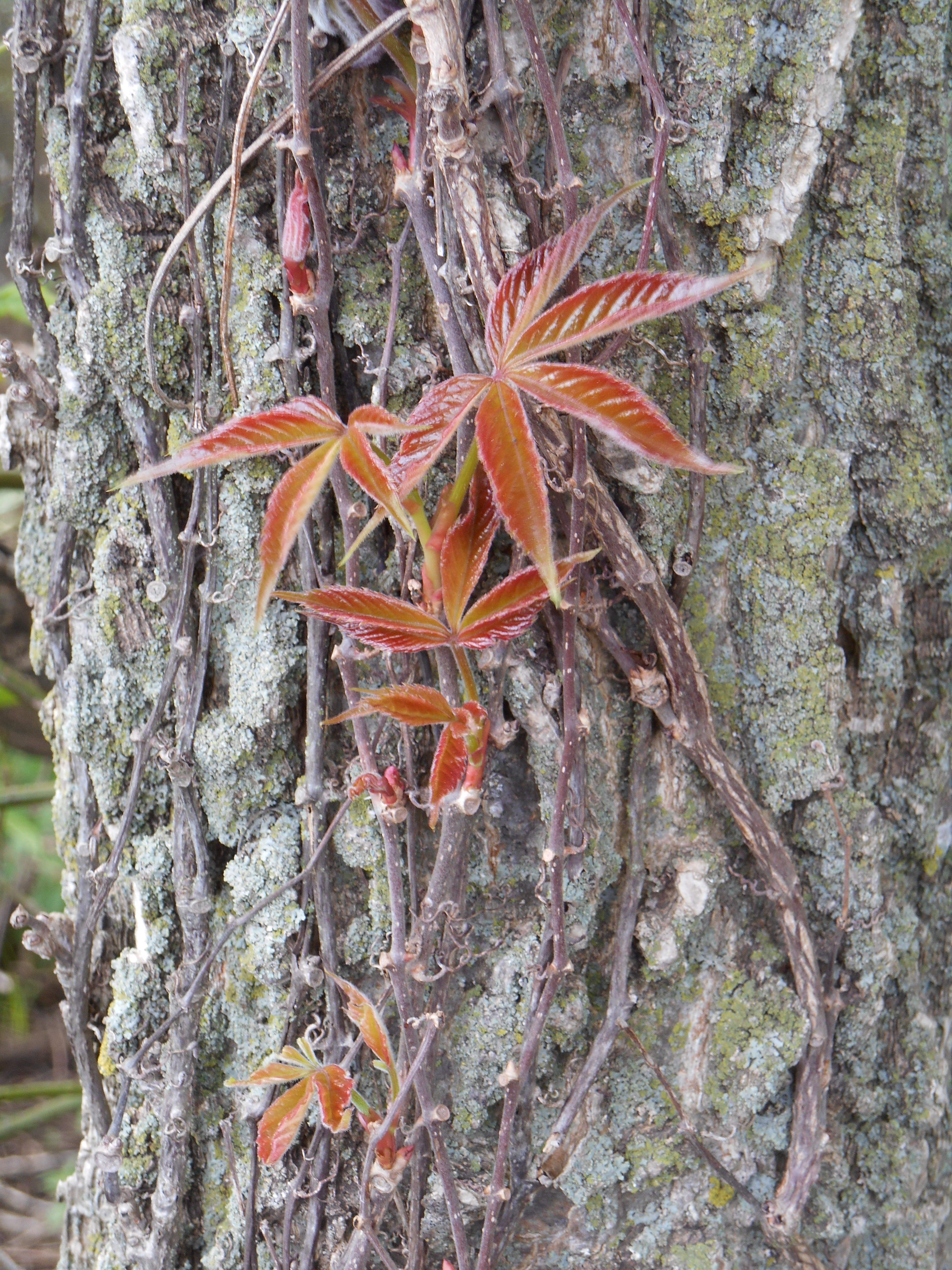 2013-01-01 00.00.00-4