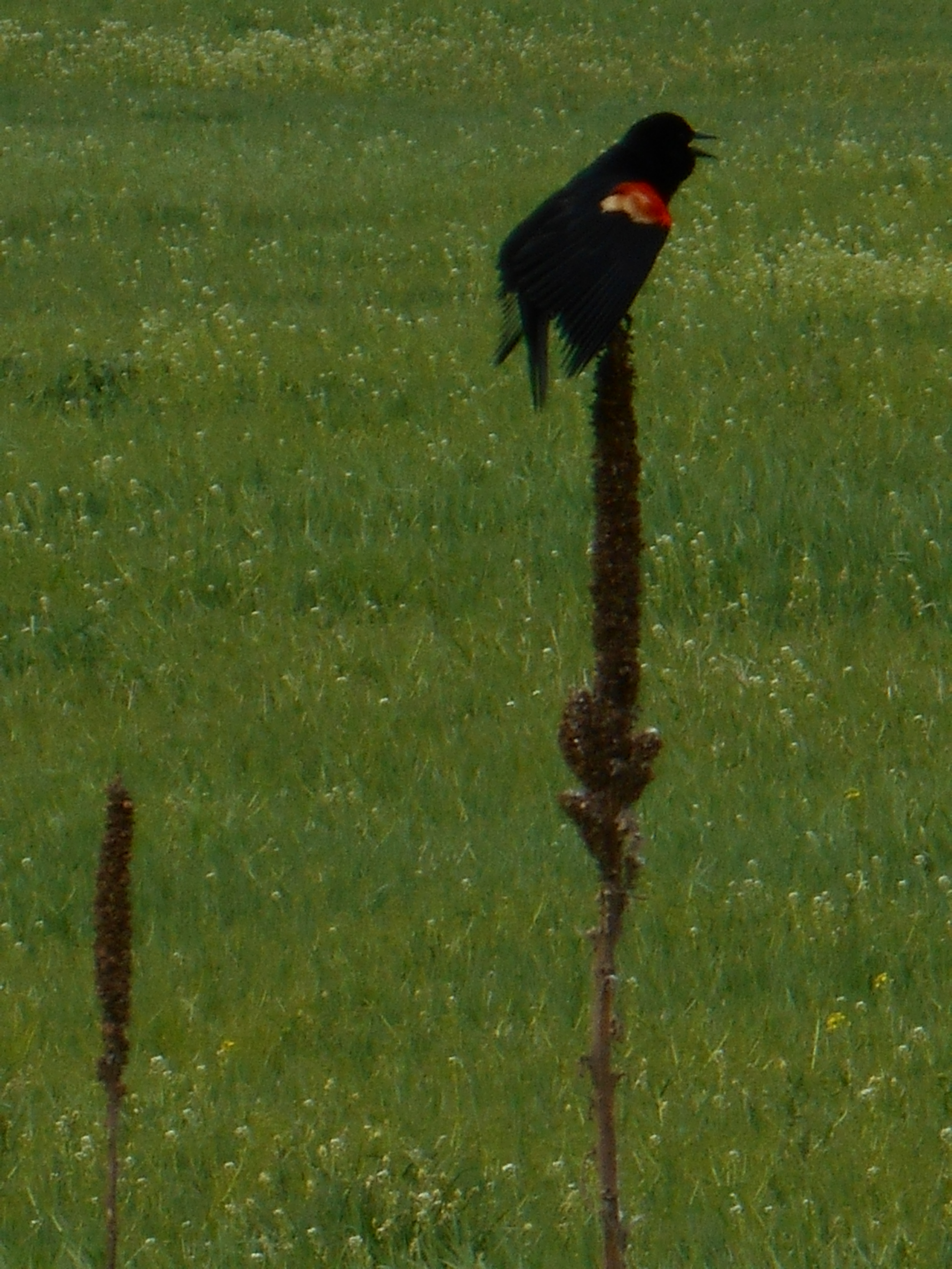 2013-01-01 00.00.00-12