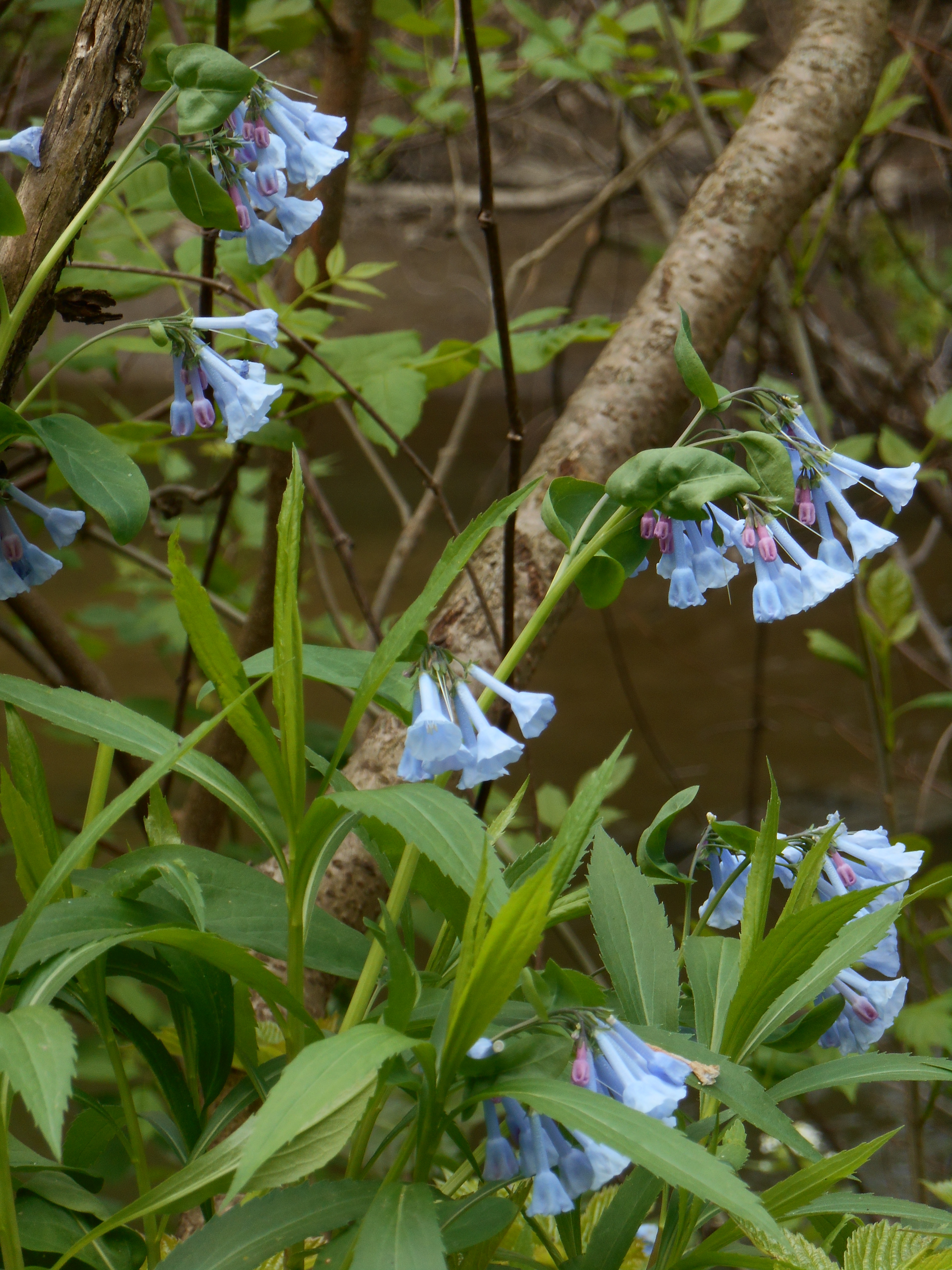 2013-01-01 00.00.00-14