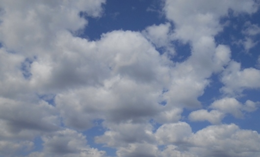 2016-05-19 10.23.59 (640x480)