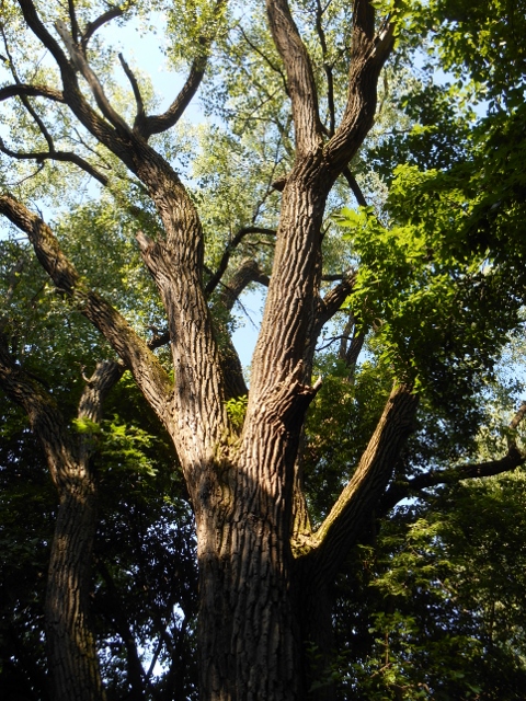 2015-06-27 09.33.01 (480x640)