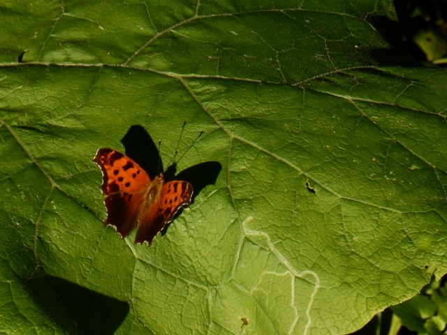 2015-06-16-19-16-43-640x480