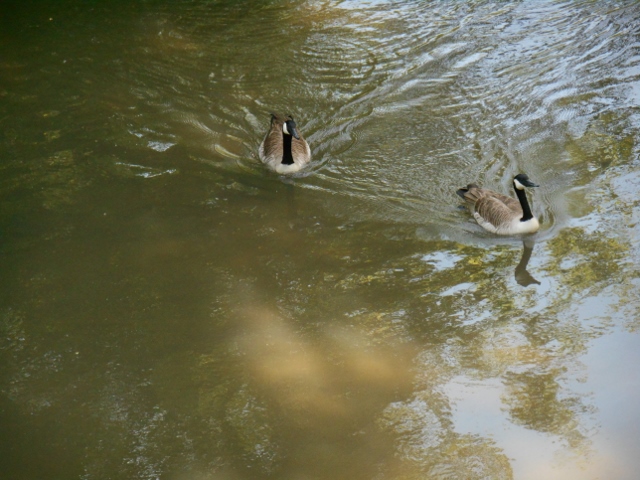 2016-05-19-10-51-05-640x480