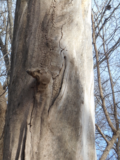 2013-01-01-00-00-00-463-480x640