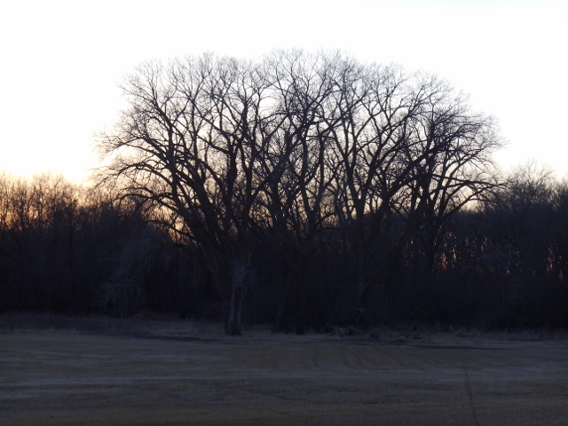 2013-01-01-00-00-00-549-640x480