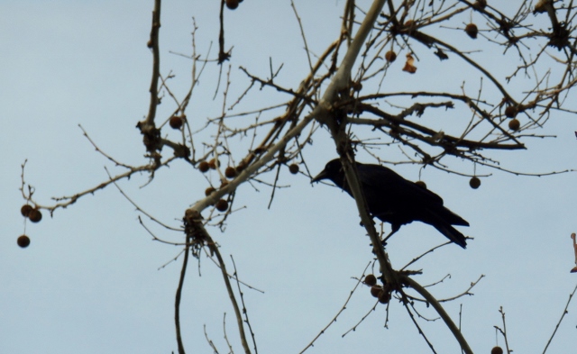 2013-01-01-00-00-00-557-640x393