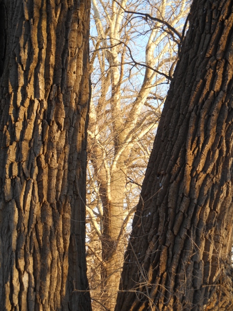 2013-01-01-00-00-00-525-480x640