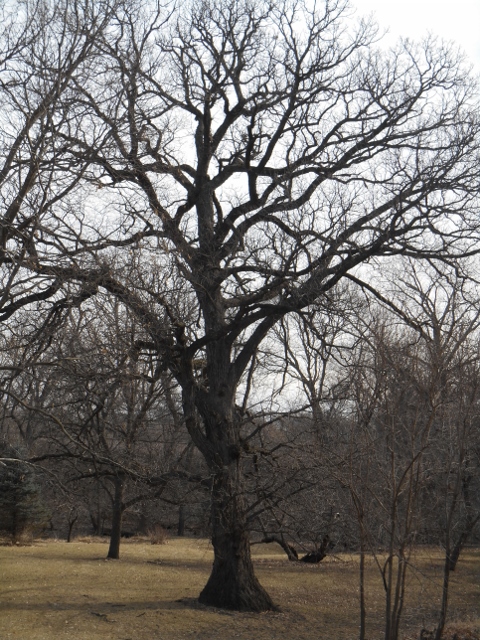 2013-01-01-00-00-00-563-480x640