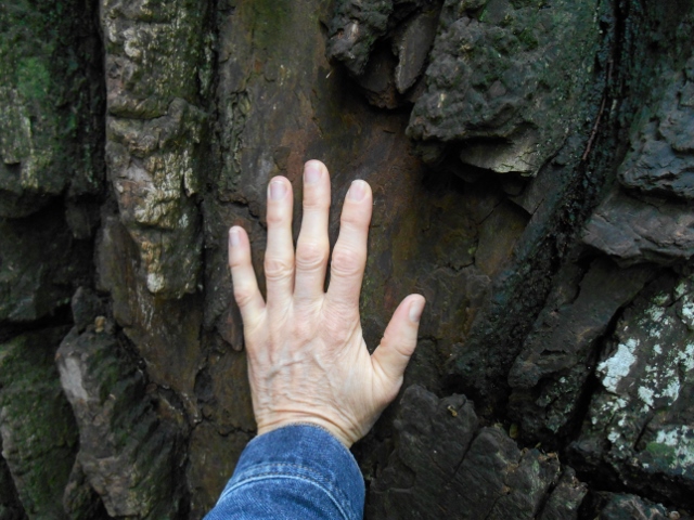 2013-01-01 00.00.00-50 (640x480)