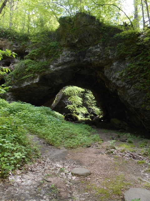 2013-01-01 00.00.00-220 (480x640)